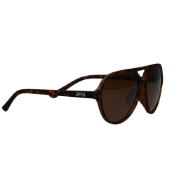 Boston Breeze Sunglasses Brown